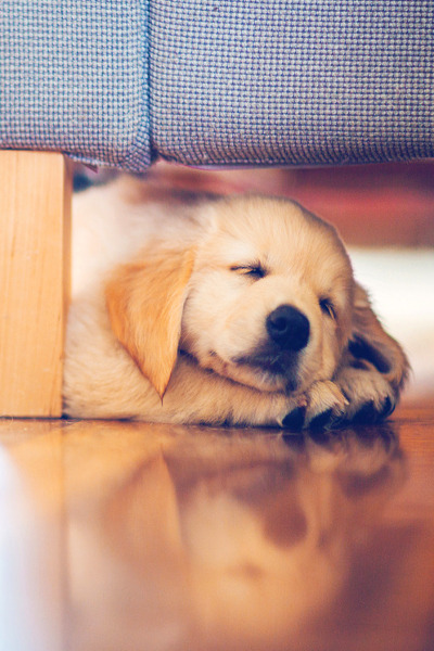 earthdaily:Growing up is hard work by: I am star stuff on Flickr.