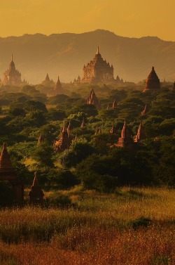 belovedgaia:  malcolmxing:  Bagan, Burma | by Praphat Rattanayanon   - plants - nature -