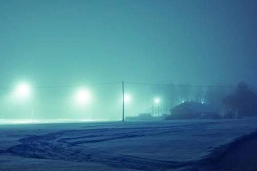 nevver:  Snow patrol, Maria Lax