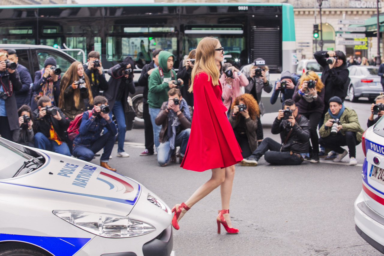 Stella Mc Cartney FW 2015-16
©jacques habbah