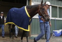 micdotcom:  The dark side of horse racing you won’t hear about on TV A win at tomorrow’s Belmont Stakes would make American Pharoah the first horse to win the coveted Triple Crown since 1978. Lost in the adulation of the winner’s circle, however,