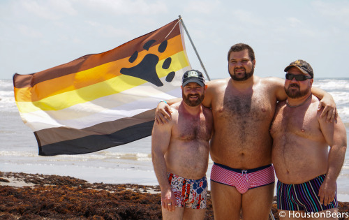 houstonbears:Bear Watch 15