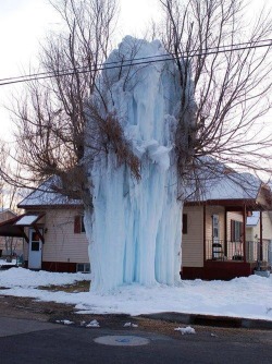 cherrylisa:  Frozen Tree, Park City, Utah 
