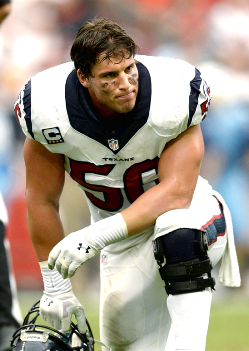 :  Brian Cushing 