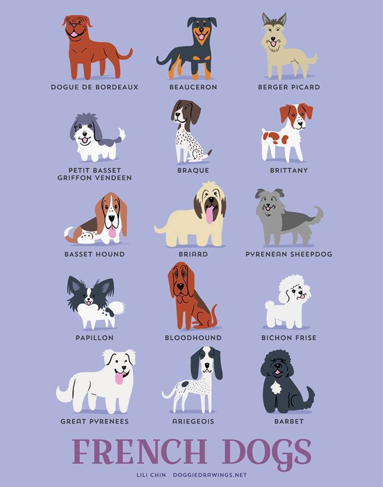 exhibitionistatheart:  50fuckingandlovingit:  bethsimon:  Dogs Of The World!!  💋