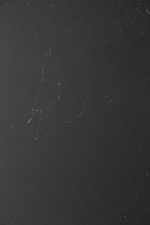 explore-everywhere: noahsiano: Orion ⸗ Noah Siano my favorite constellation. 