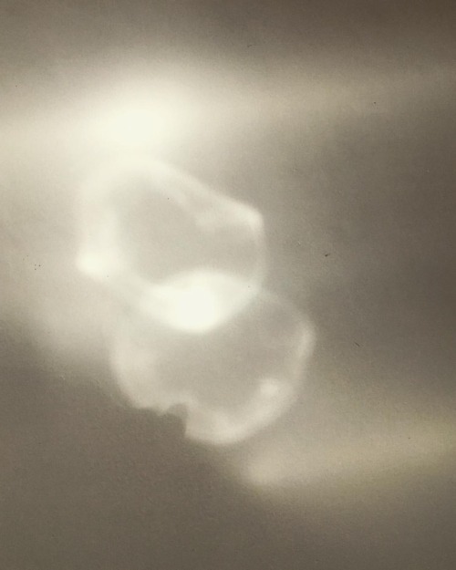 #spectralphotography