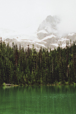 peaceful-moon:  anotic:  Untitled  |  Robin