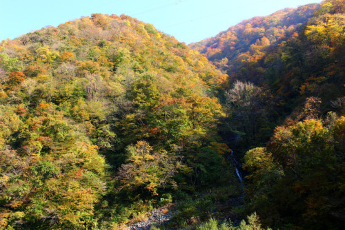 20171105（日,sun）打波川（県道173号線）uchinami river