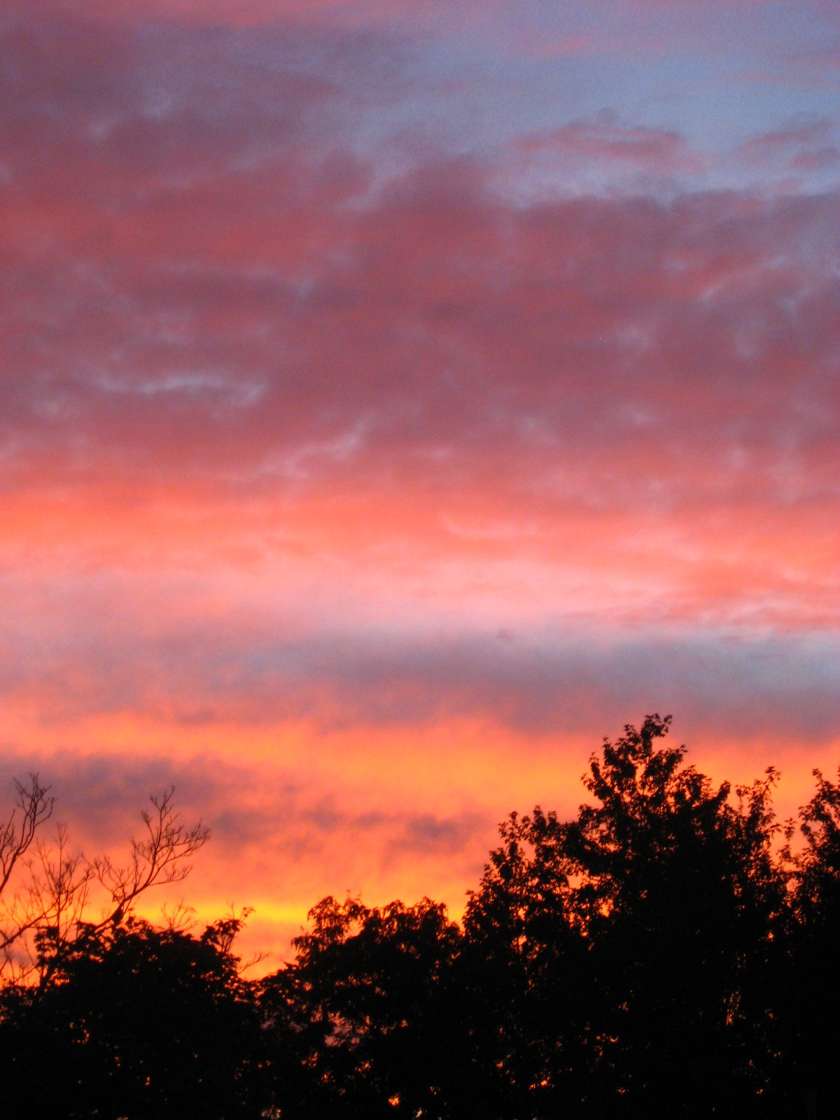 peace-and-awe:  sunset my original photography- please do not remove credit 