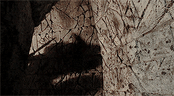glorfindhel-deactivated20210912:  Do not trouble your hearts overmuch with thought of the road tonight. Maybe the paths that you each shall tread are already laid before your feet, though you do not see them. 