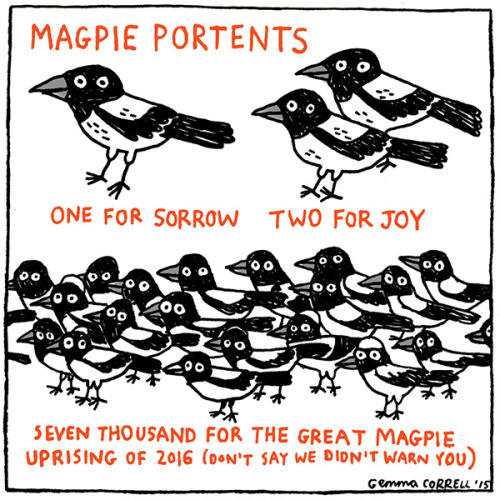 opheliaownsyou:I welcome the magpie apocalypse of sept 2016