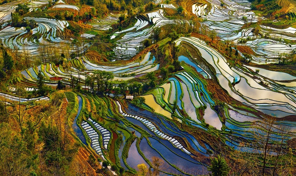 archatlas:    Beauty Paddy of China Thierry BornierThe Hani Rice Terraces, covering