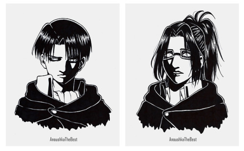Levi and Hanji - Attack on Titan