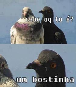 kkkkkkkkkkkkkkkkkkkkkkkkkkkkkkkk ai gente eu ri 