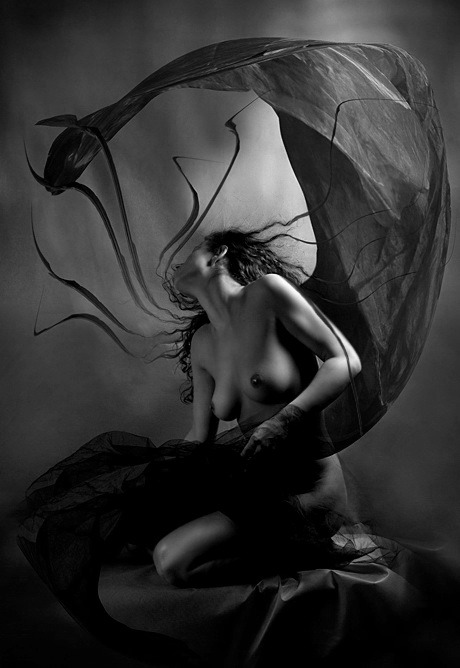 Sensuality & Art