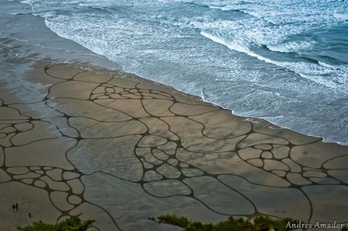 Incredible Beach Art San Francisco native artist, Andres Amado, uses the beach as his canvas. Instea