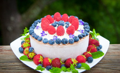 Olenko’s Raw Vegan Happy 4th of July Cake Happy Independence Day America! I made this deliciou