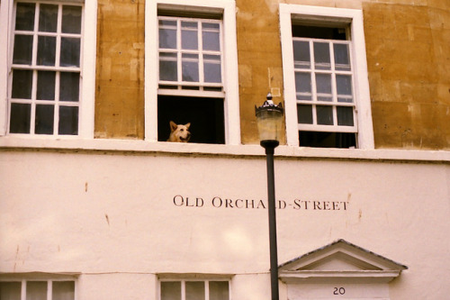 priveting:  untitled by :: K a t e :: on Flickr. 