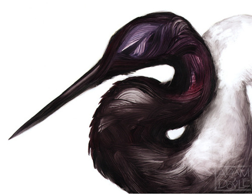 seraphica:  Paint in Motion: The art of Adam S. Doyle [via] 