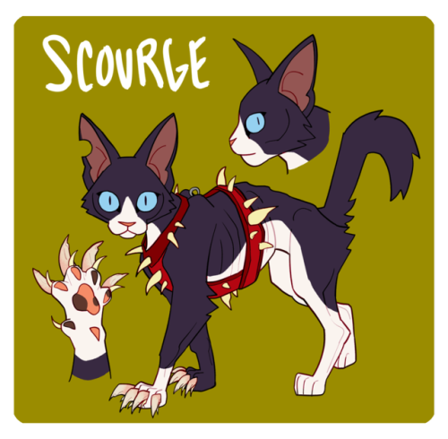 cloudtail:I MISSED SCOURGE’S WOTW but better late than never I guess??? Anyway have murderboy. Desig