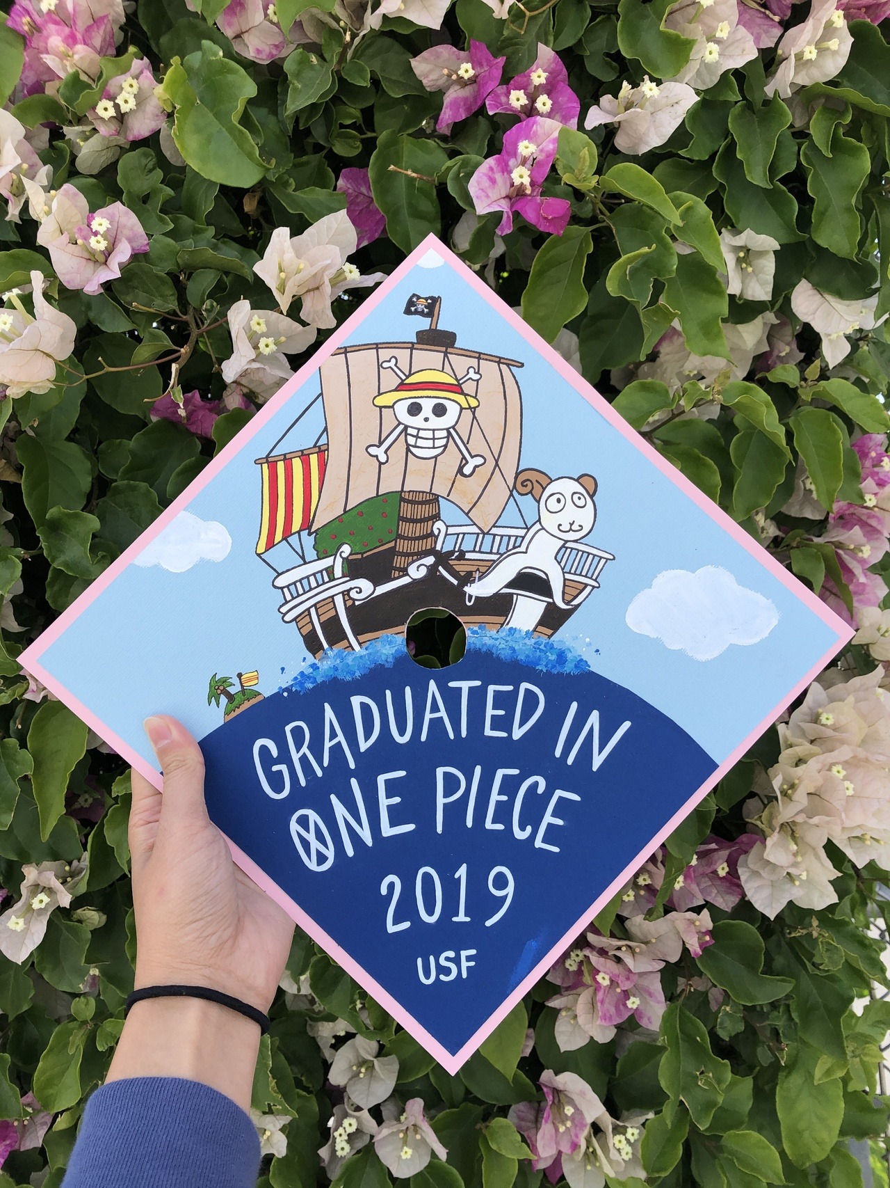 Fairy Tail Graduation Cap | High school graduation cap decoration, College graduation  cap decoration, Graduation cap decoration diy