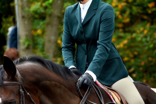 stirrup–studies:  Stony Brook University Horse Show  October 15, 2017 © equitation nation