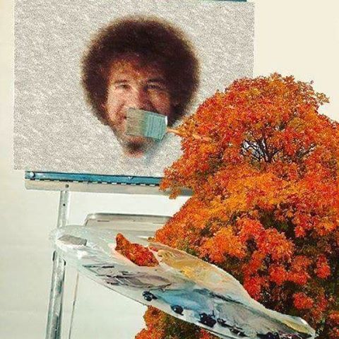 …and in an alternate universe, a tree paints a happy little Bob Ross!.#bobross #geek #nerd #g