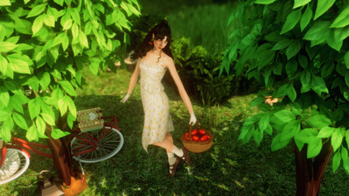 Sora At The Apple Orchard In Wakaba