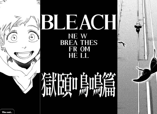 Finished All Of Bleach Today I Cried I Fell Off My Chair I Couldn't Breathe Then I Finally Ascended Thank