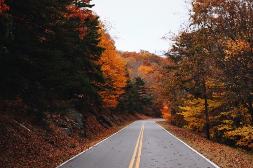 XXX his-desert-rose: // roads of autumn glory photo