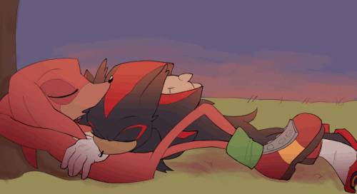Putting My Animation Class To . Good? Use? Was Introduced To Knuckles X Shadow And Im A Huge Fan