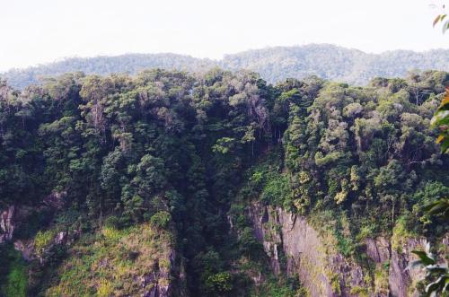 gunnsphotog: It’s a jungle out there, go explore! #travel #explore #jungle #natureza #natgeo #travel