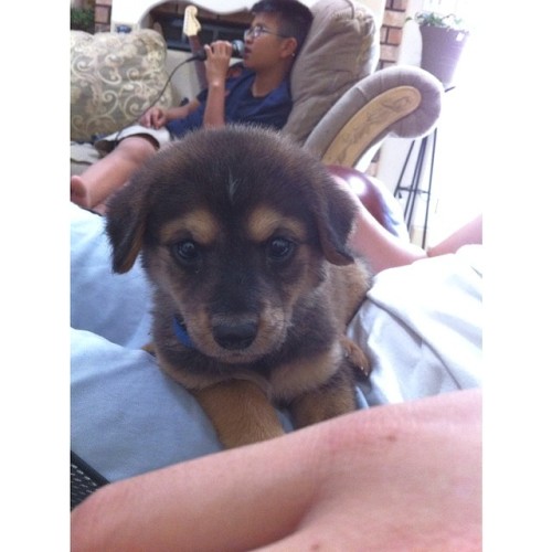Little princess Kira