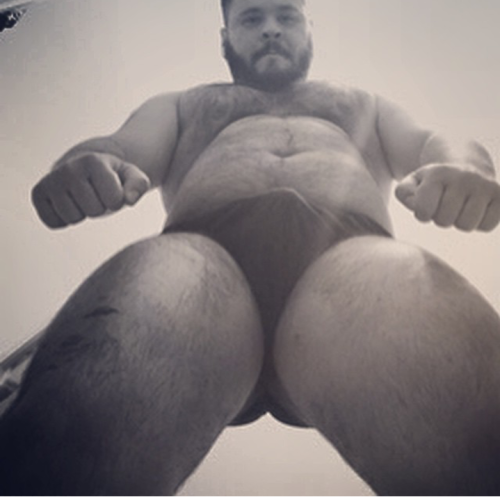 bearlycare:  nippletheory:  woooow  dreams 