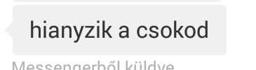 leszarom a tökéletességet