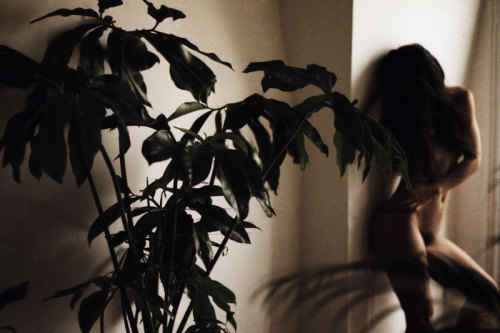 andreatomas:  Photo by © Andrea Tomas Prato are just leaves