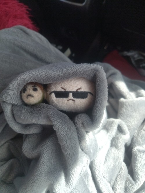 Wesker And Chris (Yeah, It's My First Thing From Wool And Needle Felting) Are On Vacation!