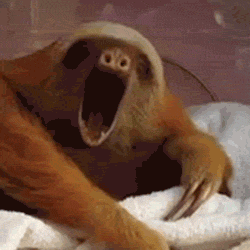 woodcommalithia:  “The Sloths Are Coming” - x 