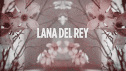 theunlostsoul:  Lana Del Rey 💞
