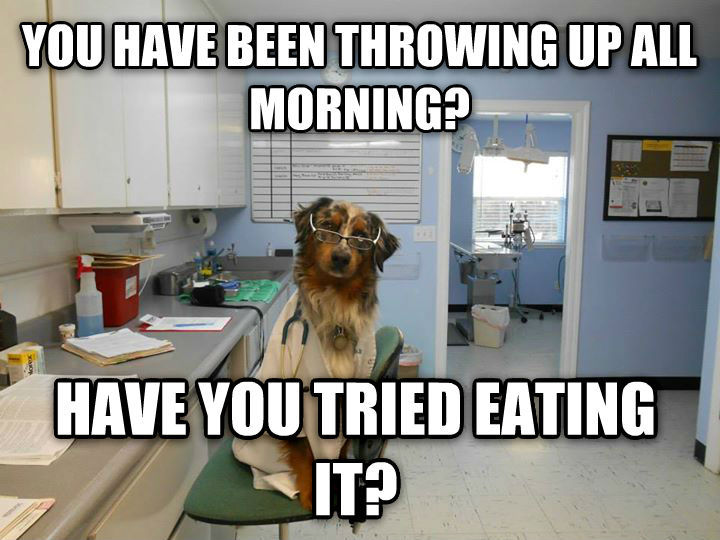 Dogtor