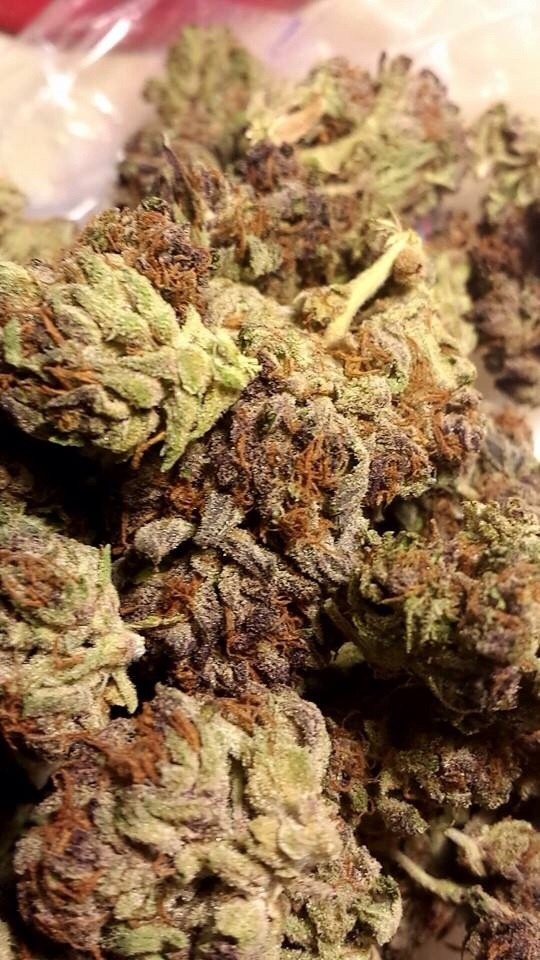 weliketosmokeweed:  Master Kush