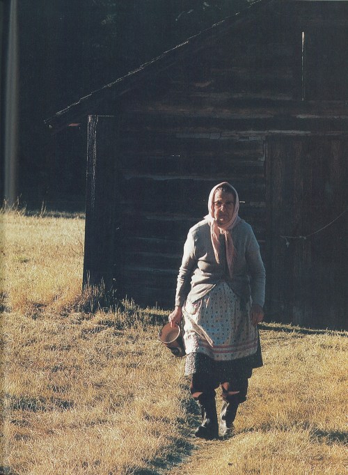 Mrs. Arnold Shiefelbein, wife of a veteran Olney homesteader, out for her morning walk.Photo by Mich