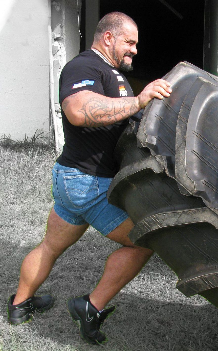 justbulls:  Thick Bull