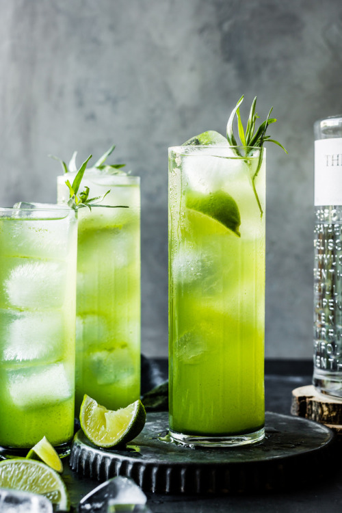 willowgirl713: foodffs: tarragon gin and tonics Follow for recipes Get your FoodFfs stuff here oooh 