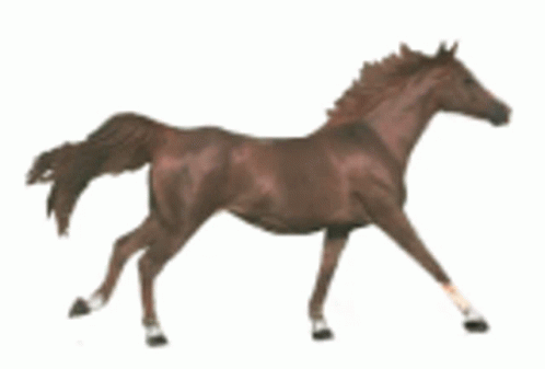 burntfiredrice:he is free