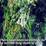 rohanling:  lord of the rings meme - 10 characters [7/10] - Treebeard 