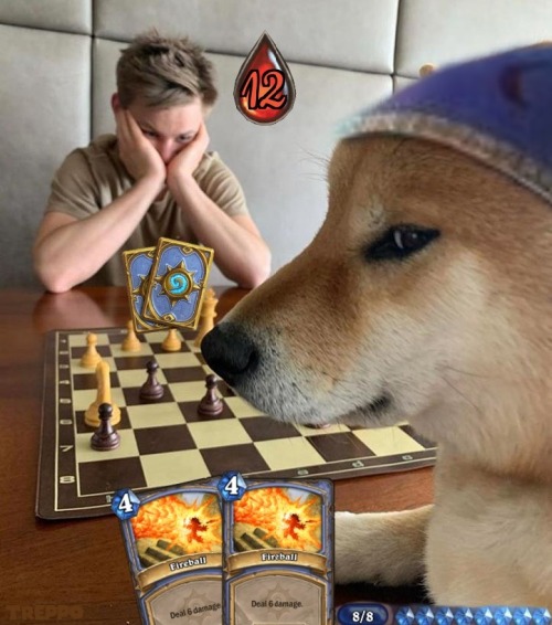 Hearthstone
