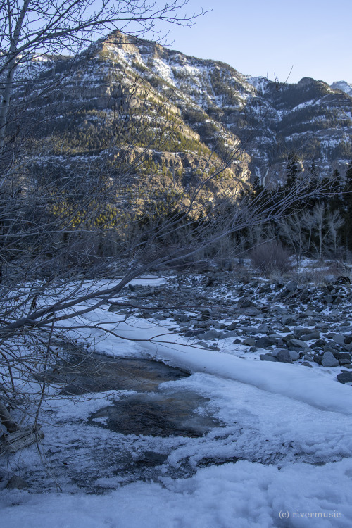 Winter at Cabin Creek, Shoshone National Forest, Wyoming: © riverwindphotography, December 2020