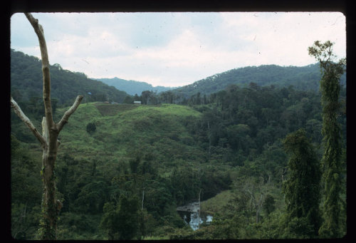 npr: In 1967, anthropologists Renato Rosaldo and his wife Shelly went to live with the llongot, an i